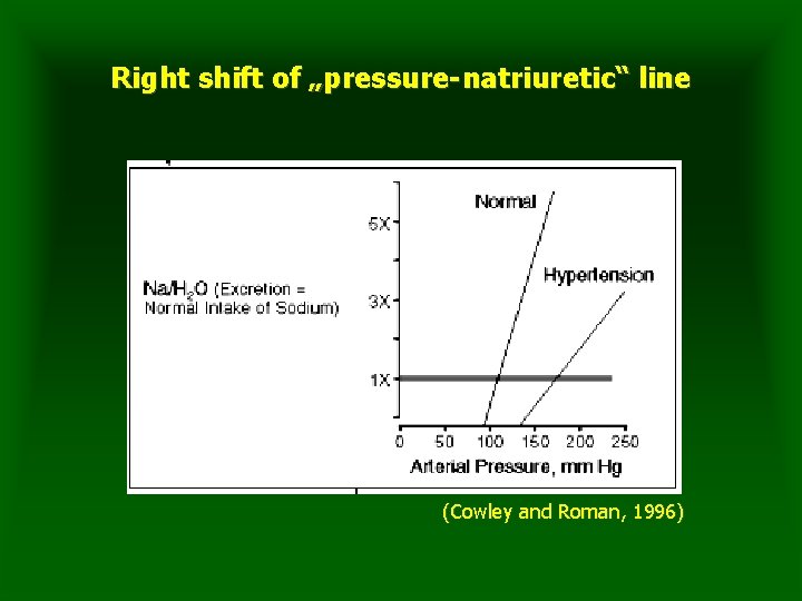 Right shift of „pressure-natriuretic“ line (Cowley and Roman, 1996) 