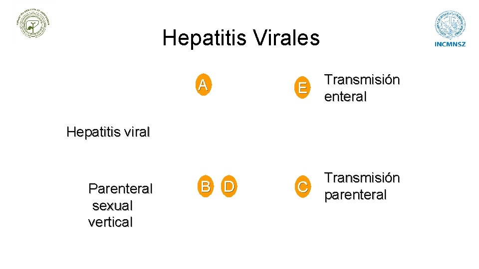 Hepatitis Virales A E Transmisión enteral C Transmisión parenteral Hepatitis viral Parenteral sexual vertical