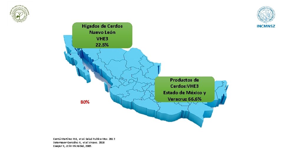 Hígados de Cerdos Nuevo León VHE 3 22. 5% 80% Cantú-Martínez MA, et al.