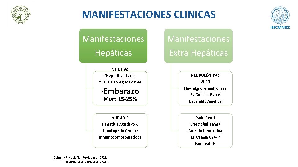 MANIFESTACIONES CLINICAS Manifestaciones Hepáticas Manifestaciones Extra Hepáticas VHE 1 y 2 *Hepatitis Ictérica NEUROLÓGICAS