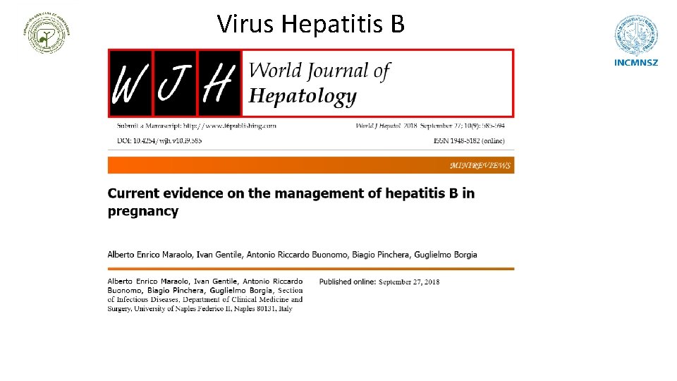 Virus Hepatitis B 