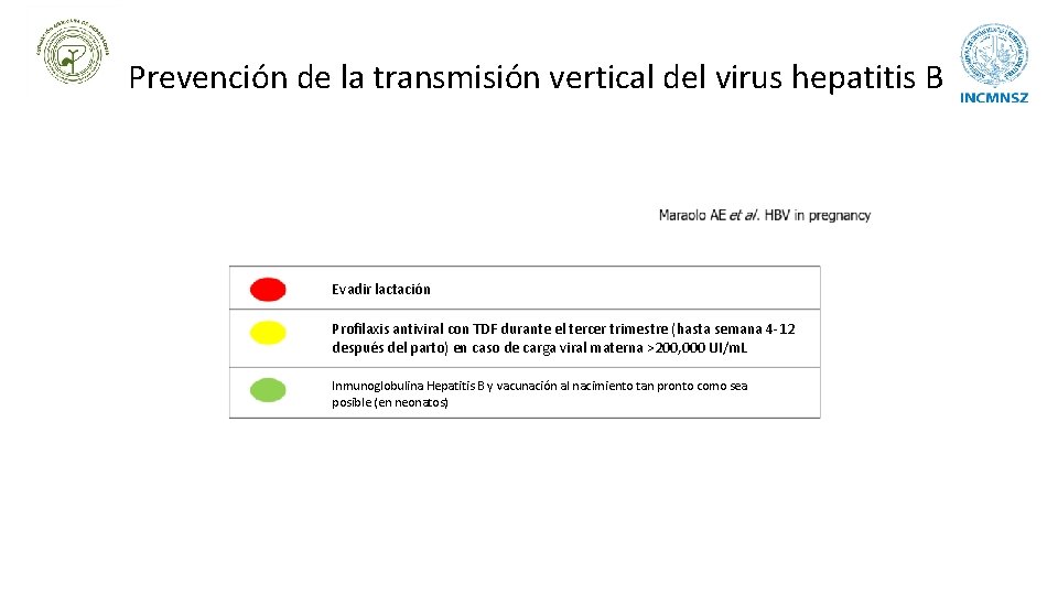 Prevención de la transmisión vertical del virus hepatitis B Evadir lactación Profilaxis antiviral con