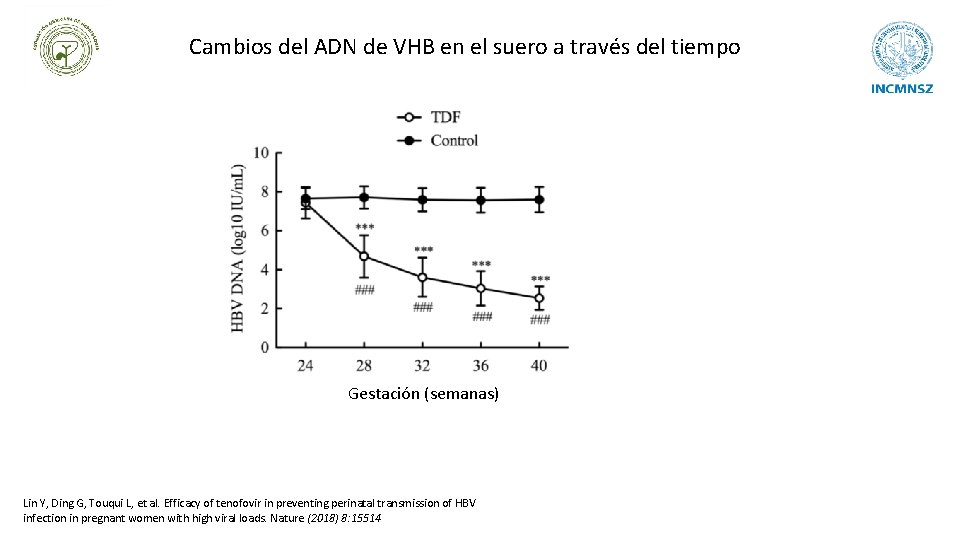 Cambios del ADN de VHB en el suero a través del tiempo Gestación (semanas)
