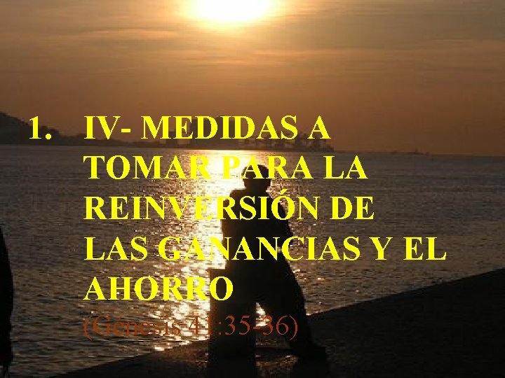 1. IV- MEDIDAS A TOMAR PARA LA REINVERSIÓN DE LAS GANANCIAS Y EL AHORRO