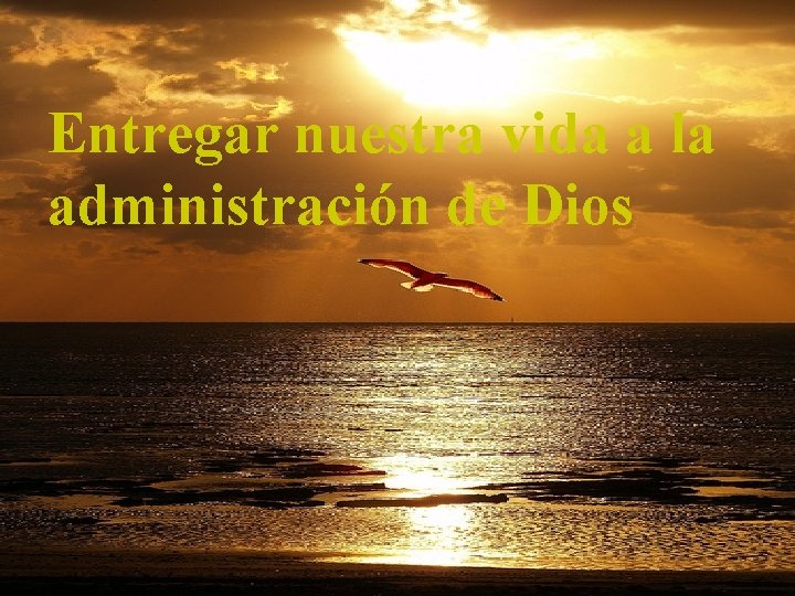 Entregar nuestra vida a la administración de Dios 