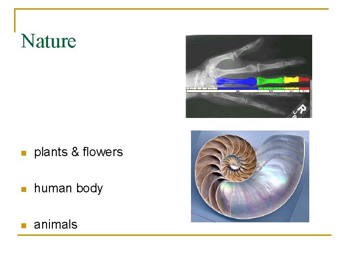 Nature n plants & flowers n human body n animals 