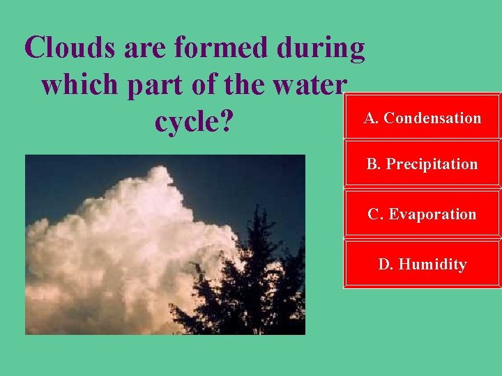 Clouds are formed during which part of the water A. Condensation cycle? B. Precipitation