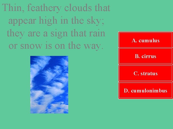 Thin, feathery clouds that appear high in the sky; they are a sign that