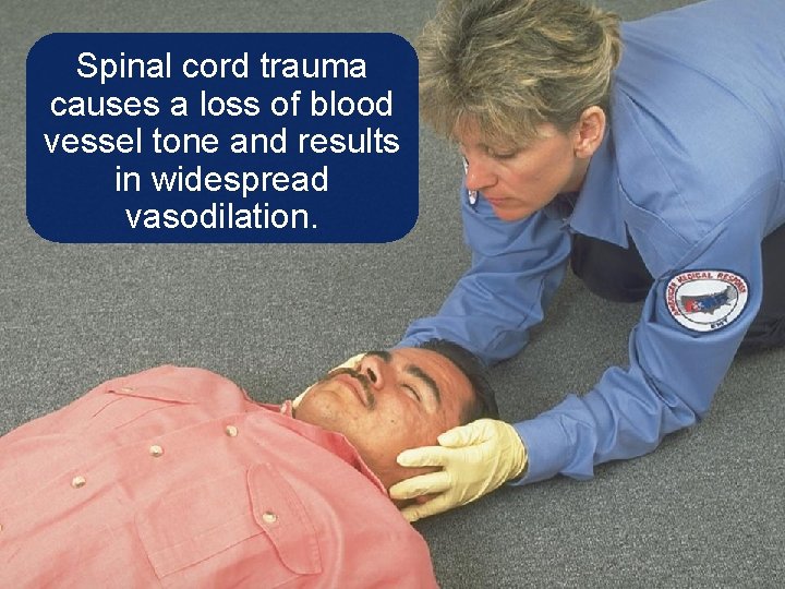 Spinal cord trauma causes a loss of blood vessel tone and results in widespread