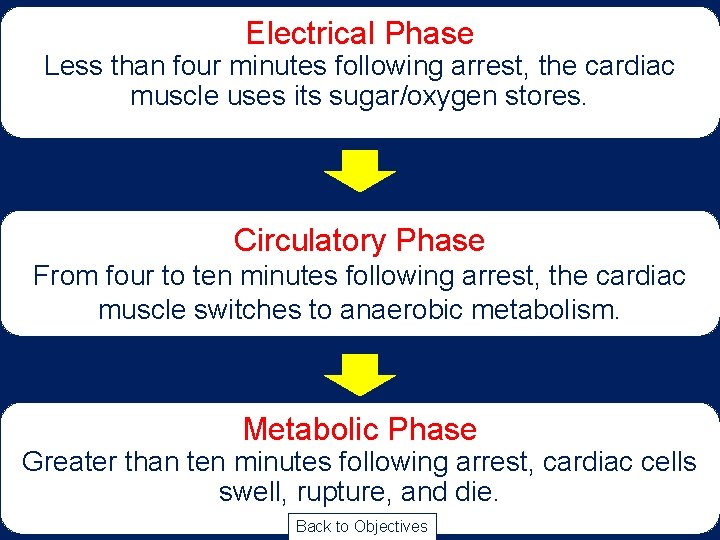 Electrical Phase Less than four minutes following arrest, the cardiac muscle uses its sugar/oxygen