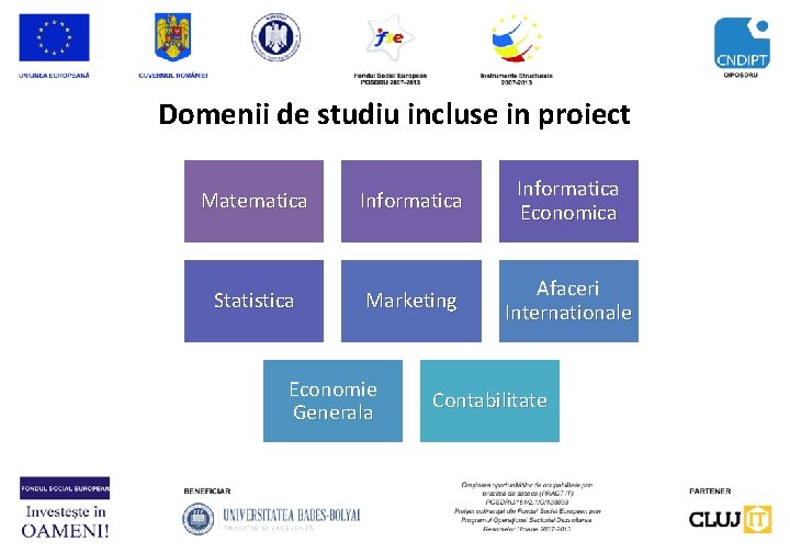 Domenii de studiu incluse in proiect Matematica Informatica Economica Statistica Marketing Afaceri Internationale Economie