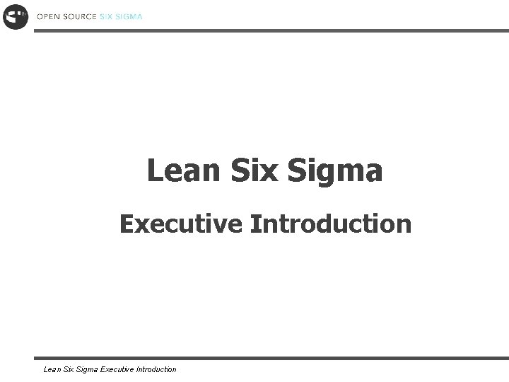 Lean Six Sigma Executive Introduction 