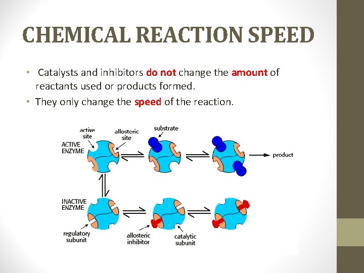 CHEMICAL REACTION SPEED • Catalysts and inhibitors do not change the amount of reactants
