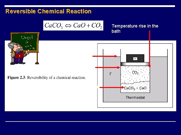 Reversible Chemical Reaction Temperature rise in the bath Increased the weight CO 2 pressure