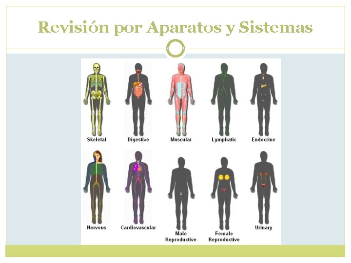 Revisión por Aparatos y Sistemas Revisión por Aparatos y Sistemas