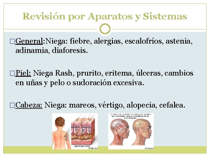 Revisión por Aparatos y Sistemas �General: Niega: fiebre, alergias, escalofríos, astenia, adinamia, diaforesis. �Piel: Revisión por Aparatos y Sistemas �General: Niega: fiebre, alergias, escalofríos, astenia, adinamia, diaforesis. �Piel: