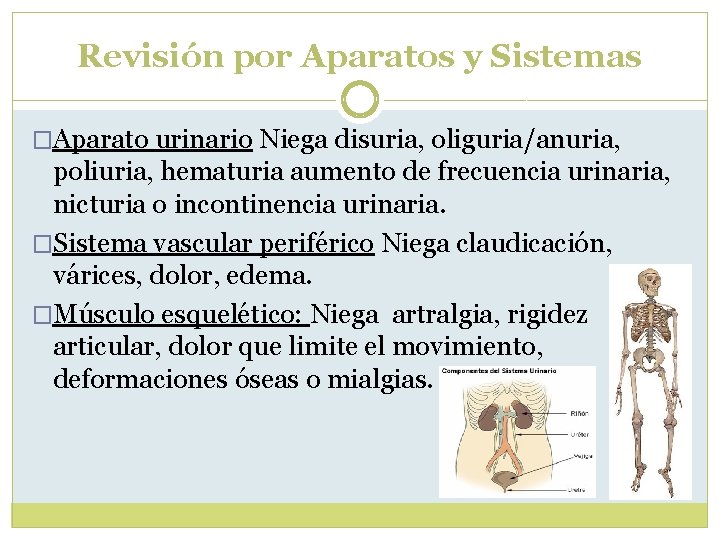 Revisión por Aparatos y Sistemas �Aparato urinario Niega disuria, oliguria/anuria, poliuria, hematuria aumento de Revisión por Aparatos y Sistemas �Aparato urinario Niega disuria, oliguria/anuria, poliuria, hematuria aumento de