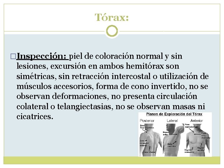 Tórax: �Inspección: piel de coloración normal y sin lesiones, excursión en ambos hemitórax son Tórax: �Inspección: piel de coloración normal y sin lesiones, excursión en ambos hemitórax son