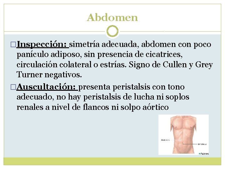 Abdomen �Inspección: simetría adecuada, abdomen con poco panículo adiposo, sin presencia de cicatrices, circulación Abdomen �Inspección: simetría adecuada, abdomen con poco panículo adiposo, sin presencia de cicatrices, circulación