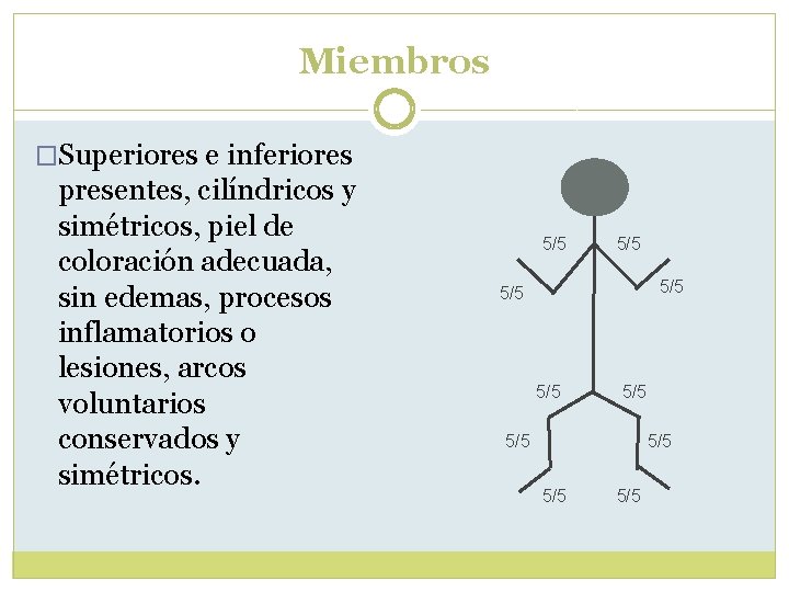 Miembros �Superiores e inferiores presentes, cilíndricos y simétricos, piel de coloración adecuada, sin edemas, Miembros �Superiores e inferiores presentes, cilíndricos y simétricos, piel de coloración adecuada, sin edemas,