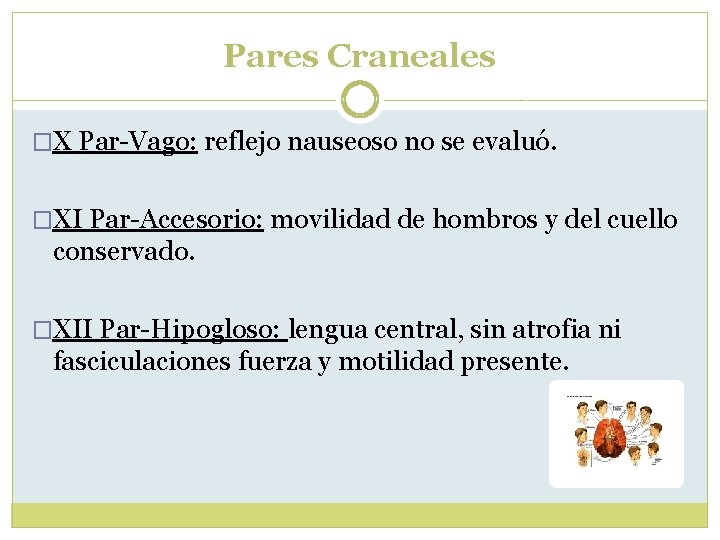 Pares Craneales �X Par-Vago: reflejo nauseoso no se evaluó. �XI Par-Accesorio: movilidad de hombros Pares Craneales �X Par-Vago: reflejo nauseoso no se evaluó. �XI Par-Accesorio: movilidad de hombros