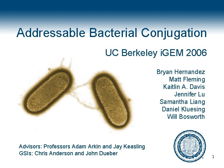 Addressable Bacterial Conjugation UC Berkeley i. GEM 2006 Bryan Hernandez Matt Fleming Kaitlin A.