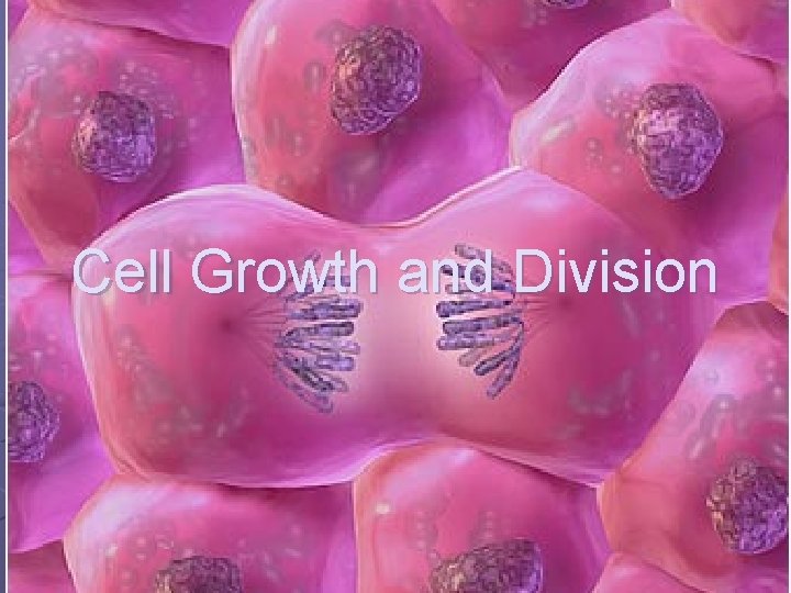 Cell Growth and Division 