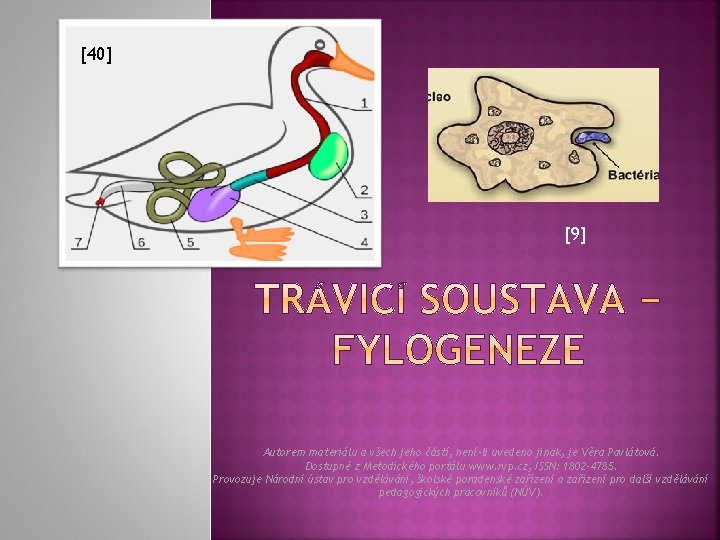 [40] [9] Autorem materiálu a všech jeho částí, není-li uvedeno jinak, je Věra Pavlátová.