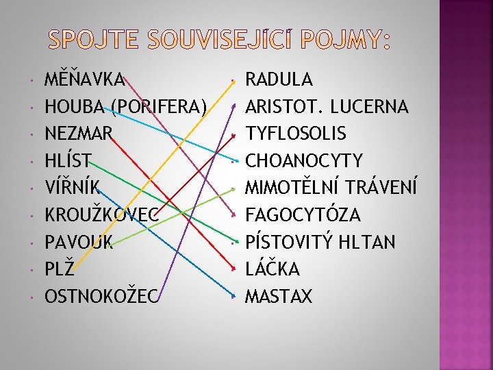  MĚŇAVKA HOUBA (PORIFERA) NEZMAR HLÍST VÍŘNÍK KROUŽKOVEC PAVOUK PLŽ OSTNOKOŽEC RADULA ARISTOT. LUCERNA