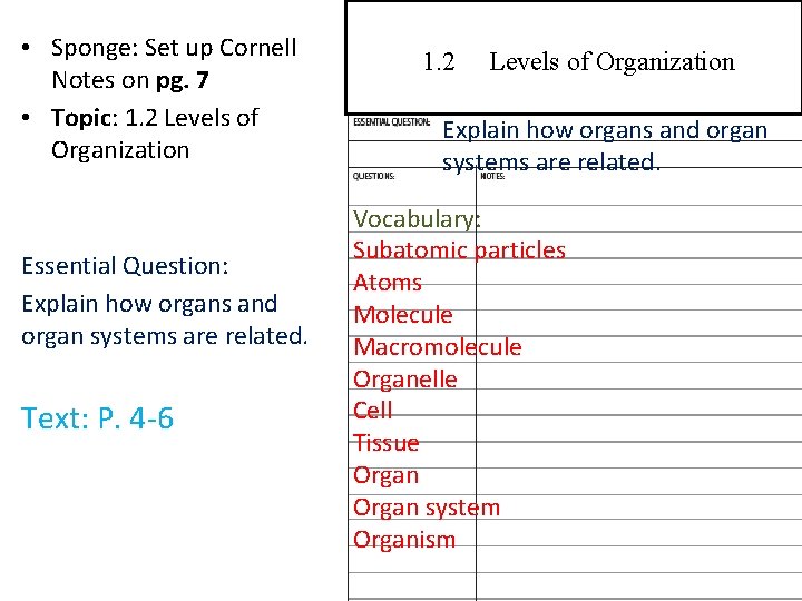  • Sponge: Set up Cornell Notes on pg. 7 • Topic: 1. 2