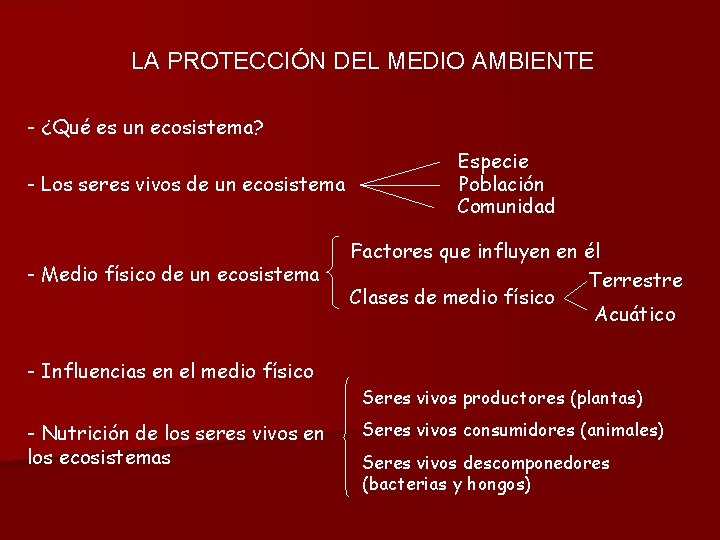 LA PROTECCIN DEL MEDIO AMBIENTE Qu es un