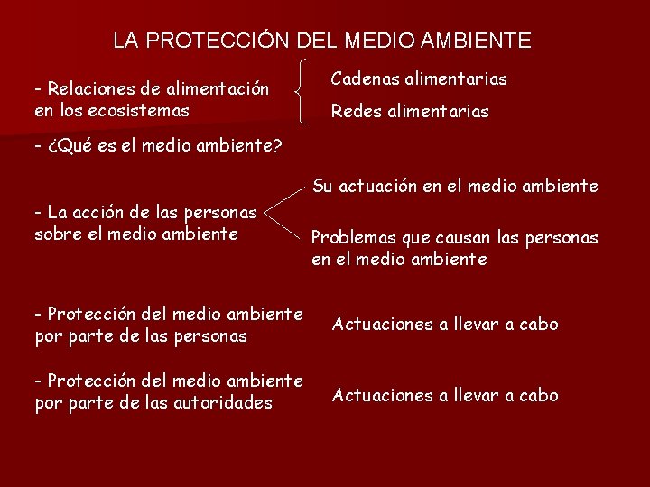 LA PROTECCIN DEL MEDIO AMBIENTE Qu es un