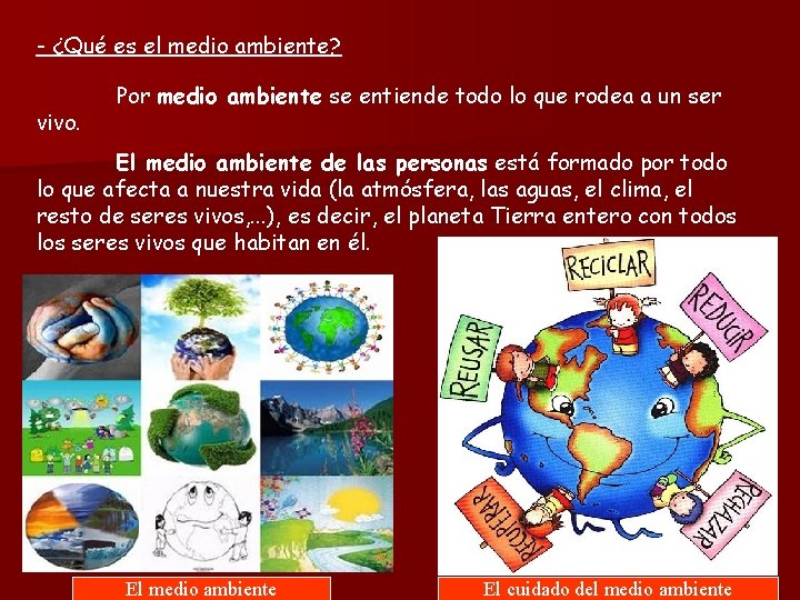 LA PROTECCIN DEL MEDIO AMBIENTE Qu es un