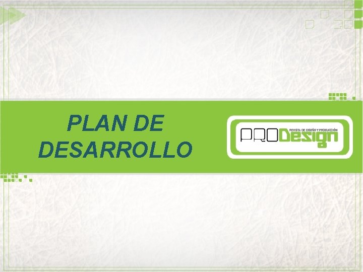 PLAN DE DESARROLLO 