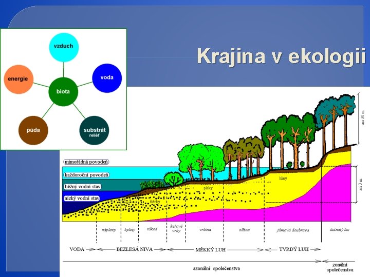 Krajina v ekologii 