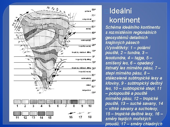 �Ideální kontinent Schéma ideálního kontinentu s rozmístěním regionálních geosystémů detailních krajinných pásech (Vysvětlivky: 1