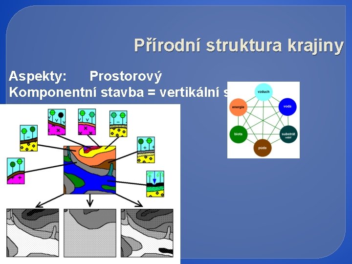 Přírodní struktura krajiny Aspekty: Prostorový Komponentní stavba = vertikální struktura 