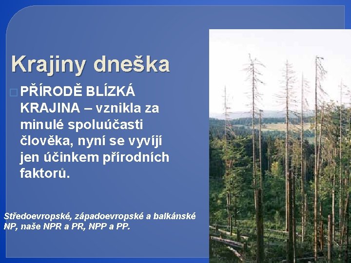 Krajiny dneška � PŘÍRODĚ BLÍZKÁ KRAJINA – vznikla za minulé spoluúčasti člověka, nyní se