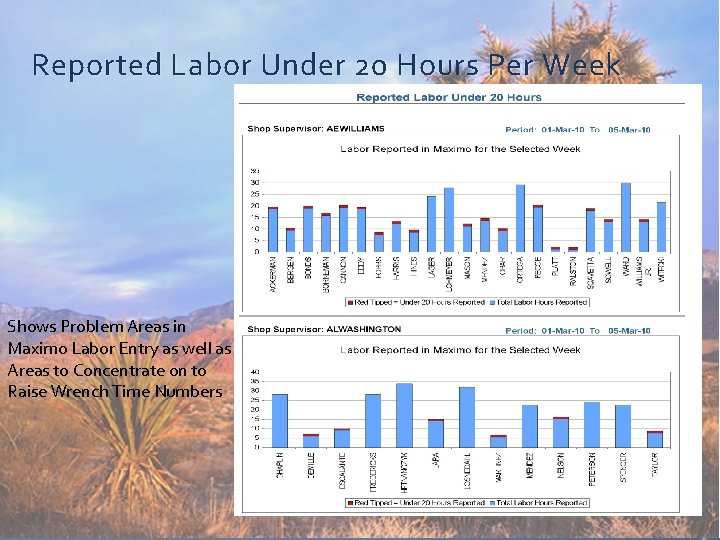 Reported Labor Under 20 Hours Per Week Shows Problem Areas in Maximo Labor Entry