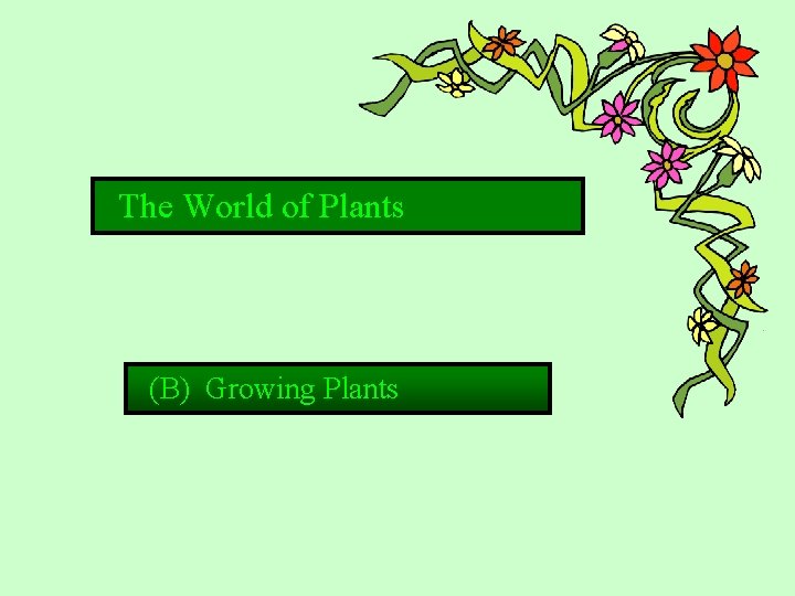 The World of Plants (B) Growing Plants 