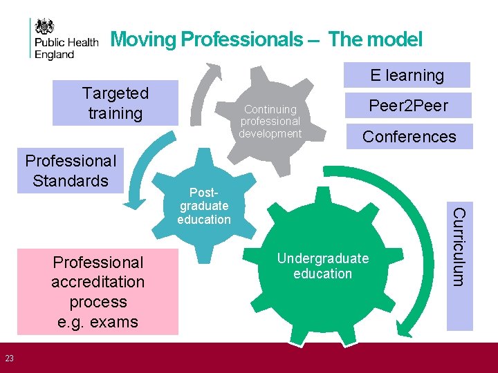Moving Professionals – The model E learning Targeted training Professional Standards 23 Peer 2