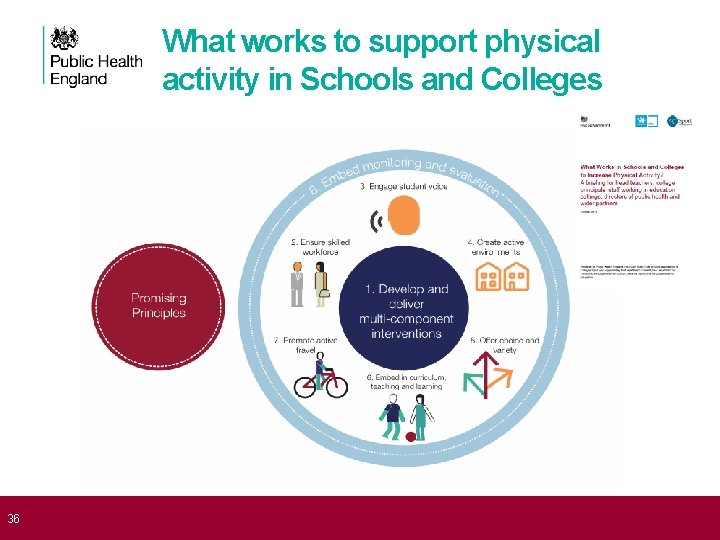 What works to support physical activity in Schools and Colleges 36 