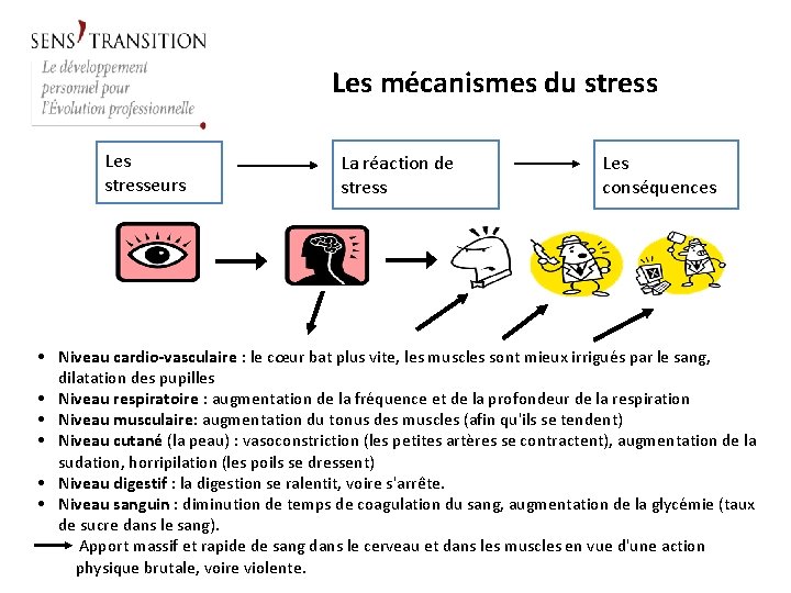 Les mécanismes du stress Les stresseurs La réaction de stress Les conséquences • Niveau