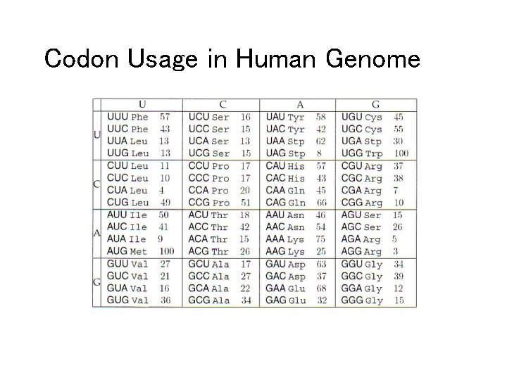 Codon Usage in Human Genome 