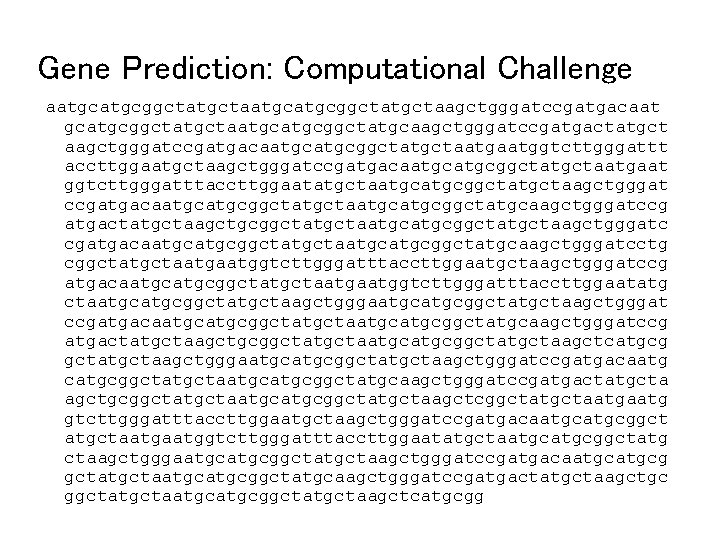 Gene Prediction: Computational Challenge aatgcatgcggctatgctaagctgggatccgatgacaat gcatgcggctatgctaatgcggctatgcaagctgggatccgatgactatgct aagctgggatccgatgacaatgcggctatgctaatggtcttgggattt accttggaatgctaagctgggatccgatgacaatgcggctatgctaatgaat ggtcttgggatttaccttggaatatgctaatgcggctatgctaagctgggat ccgatgacaatgcggctatgctaatgcggctatgcaagctgggatccg atgactatgctaagctgcggctatgctaatgcggctatgctaagctgggatc cgatgacaatgcggctatgctaatgcggctatgcaagctgggatcctg cggctatgctaatggtcttgggatttaccttggaatgctaagctgggatccg atgacaatgcggctatgctaatggtcttgggatttaccttggaatatg