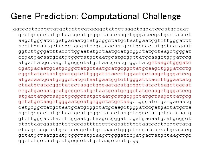 Gene Prediction: Computational Challenge aatgcatgcggctatgctaagctgggatccgatgacaat gcatgcggctatgctaatgcggctatgcaagctgggatccgatgactatgct aagctgggatccgatgacaatgcggctatgctaatggtcttgggattt accttggaatgctaagctgggatccgatgacaatgcggctatgctaatgaat ggtcttgggatttaccttggaatatgctaatgcggctatgctaagctgggat ccgatgacaatgcggctatgctaatgcggctatgcaagctgggatccg atgactatgctaagctgcggctatgctaatgcggctatgctaagctgggatc cgatgacaatgcggctatgctaatgcggctatgcaagctgggatcctg cggctatgctaatggtcttgggatttaccttggaatgctaagctgggatccg atgacaatgcggctatgctaatggtcttgggatttaccttggaatatg