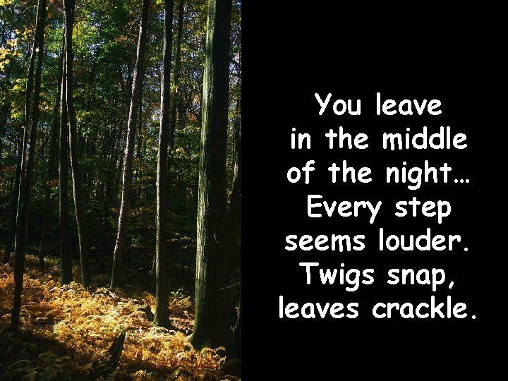 You leave in the middle of the night… Every step seems louder. Twigs snap,