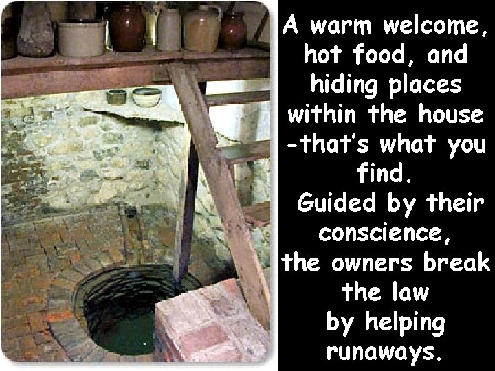 A warm welcome, hot food, and hiding places within the house -that’s what you