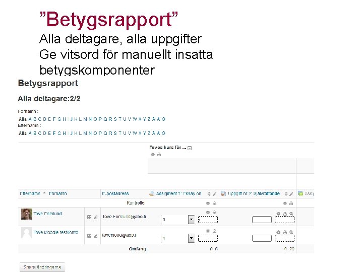 ”Betygsrapport” Alla deltagare, alla uppgifter Ge vitsord för manuellt insatta betygskomponenter Exportera till excel