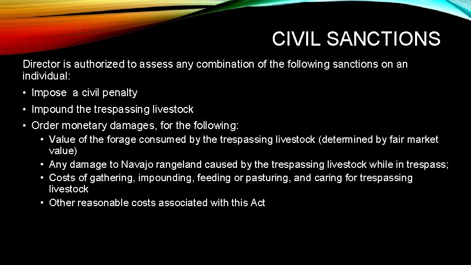 CIVIL SANCTIONS Director is authorized to assess any combination of the following sanctions on